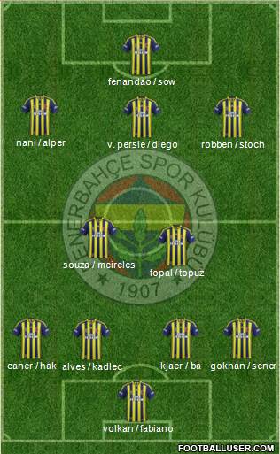 Fenerbahçe SK Formation 2015