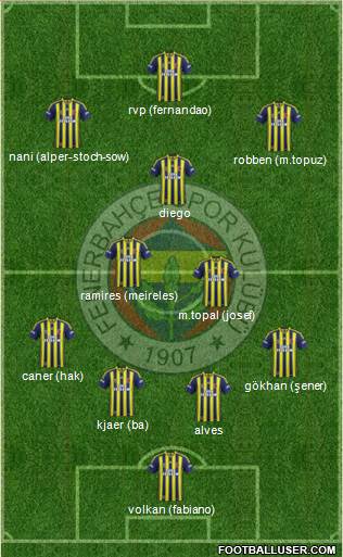 Fenerbahçe SK Formation 2015