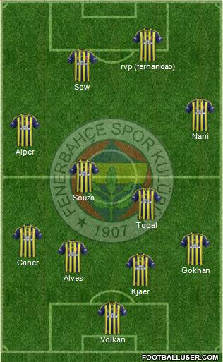 Fenerbahçe SK Formation 2015