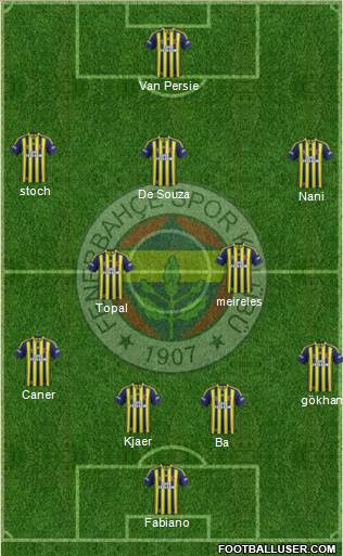 Fenerbahçe SK Formation 2015