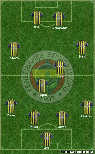 Fenerbahçe SK Formation 2015