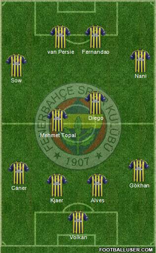 Fenerbahçe SK Formation 2015