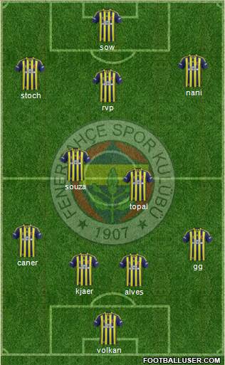 Fenerbahçe SK Formation 2015