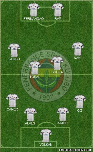 Fenerbahçe SK Formation 2015