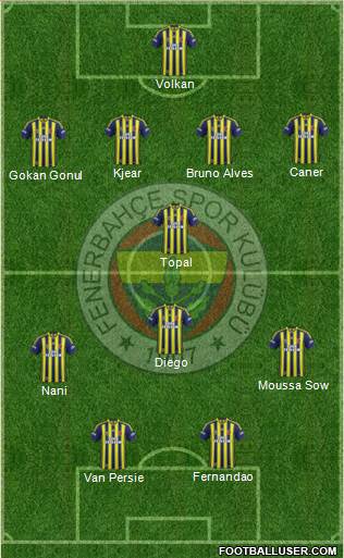 Fenerbahçe SK Formation 2015