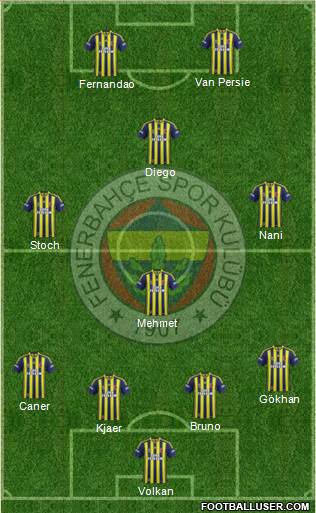 Fenerbahçe SK Formation 2015
