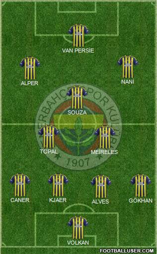 Fenerbahçe SK Formation 2015