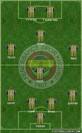 Fenerbahçe SK Formation 2015