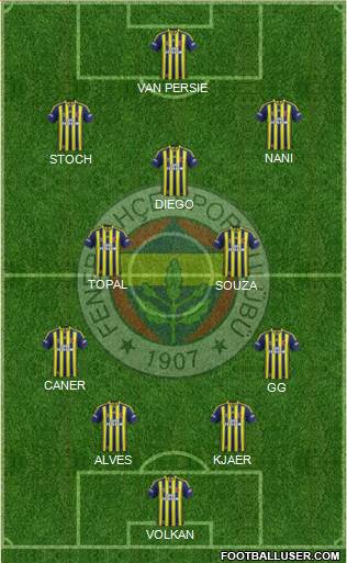 Fenerbahçe SK Formation 2015