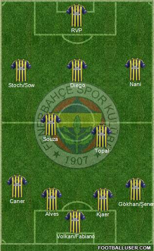 Fenerbahçe SK Formation 2015