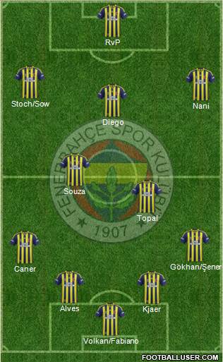 Fenerbahçe SK Formation 2015
