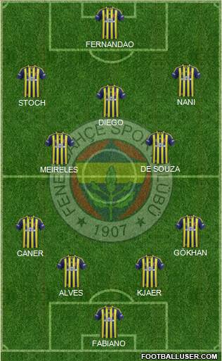 Fenerbahçe SK Formation 2015