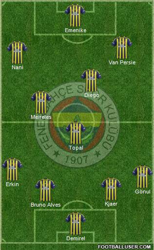 Fenerbahçe SK Formation 2015