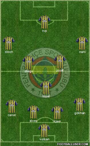 Fenerbahçe SK Formation 2015