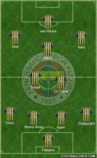 Fenerbahçe SK Formation 2015