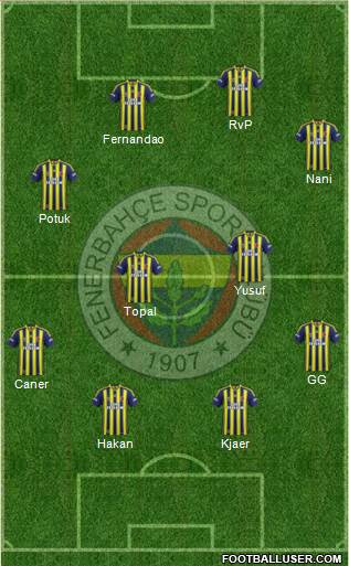 Fenerbahçe SK Formation 2015