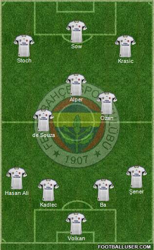 Fenerbahçe SK Formation 2015