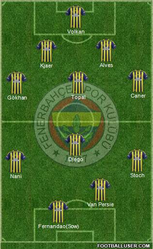 Fenerbahçe SK Formation 2015