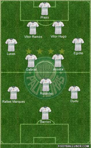 SE Palmeiras Formation 2015