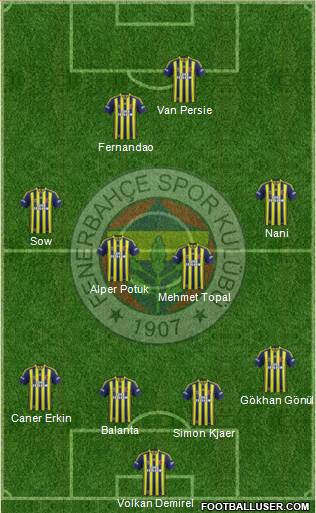 Fenerbahçe SK Formation 2015