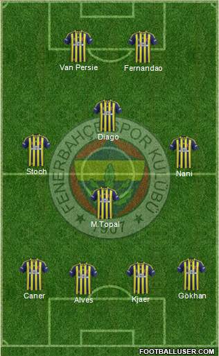 Fenerbahçe SK Formation 2015