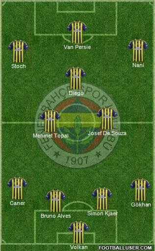 Fenerbahçe SK Formation 2015