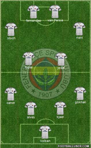 Fenerbahçe SK Formation 2015