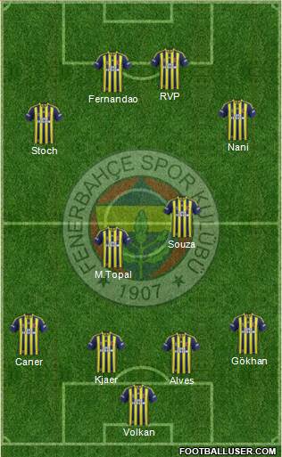 Fenerbahçe SK Formation 2015