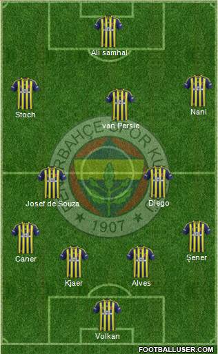 Fenerbahçe SK Formation 2015