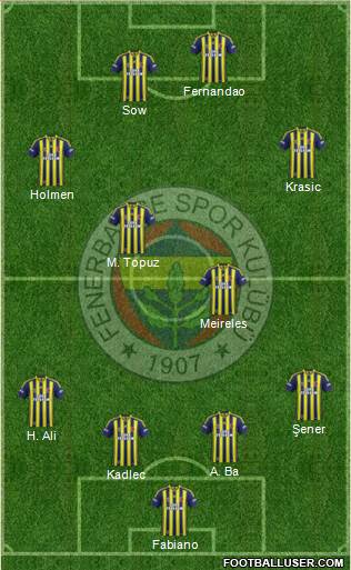 Fenerbahçe SK Formation 2015