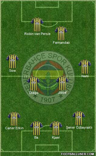 Fenerbahçe SK Formation 2015