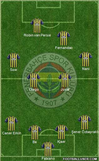 Fenerbahçe SK Formation 2015
