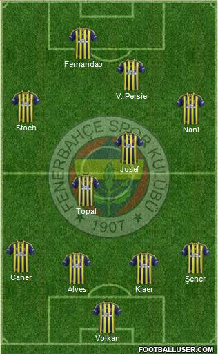 Fenerbahçe SK Formation 2015