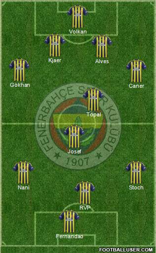 Fenerbahçe SK Formation 2015