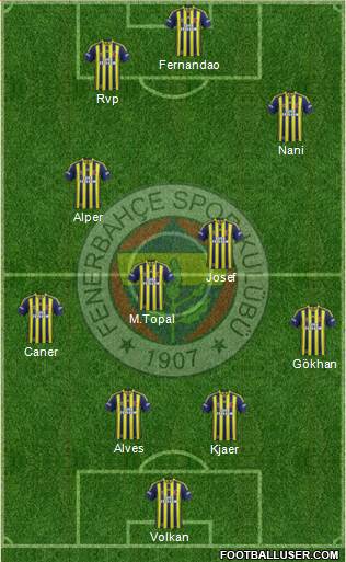 Fenerbahçe SK Formation 2015