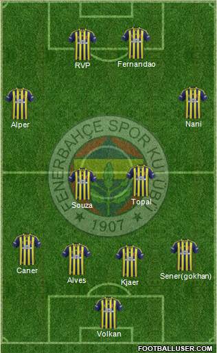Fenerbahçe SK Formation 2015