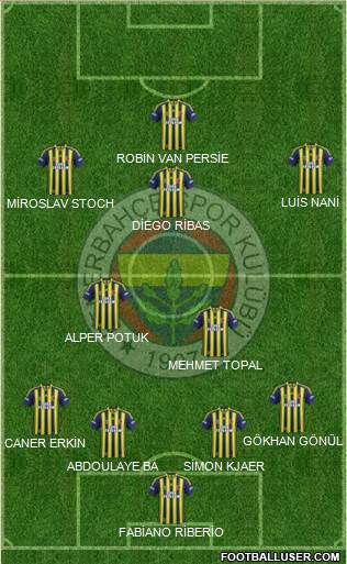 Fenerbahçe SK Formation 2015