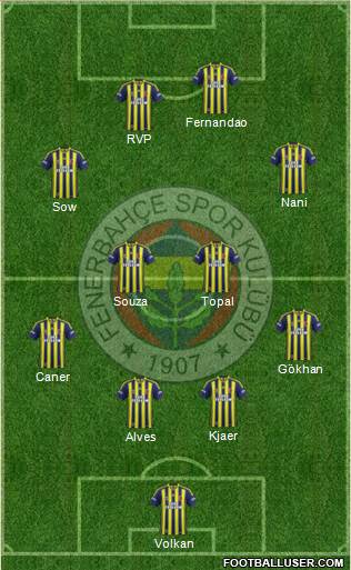 Fenerbahçe SK Formation 2015