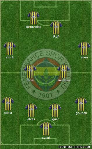 Fenerbahçe SK Formation 2015
