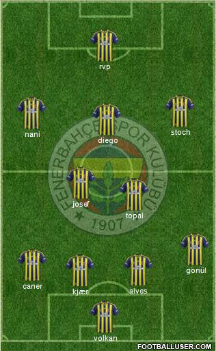 Fenerbahçe SK Formation 2015