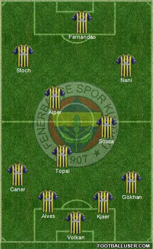 Fenerbahçe SK Formation 2015