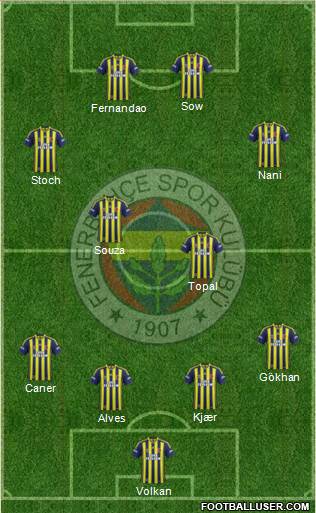 Fenerbahçe SK Formation 2015
