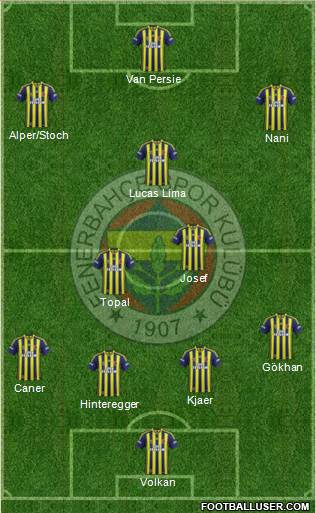 Fenerbahçe SK Formation 2015