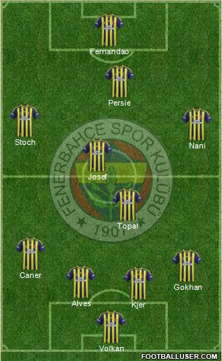Fenerbahçe SK Formation 2015