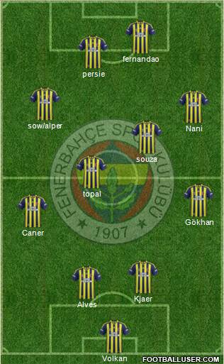 Fenerbahçe SK Formation 2015