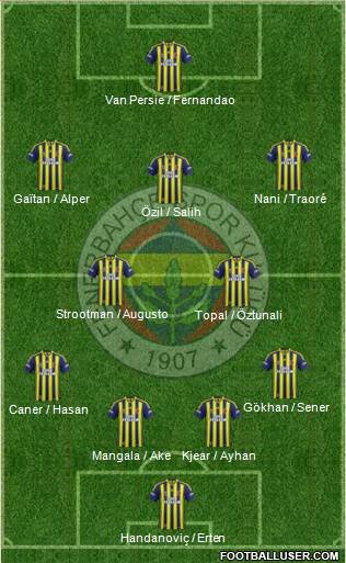 Fenerbahçe SK Formation 2015