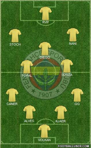 Fenerbahçe SK Formation 2015