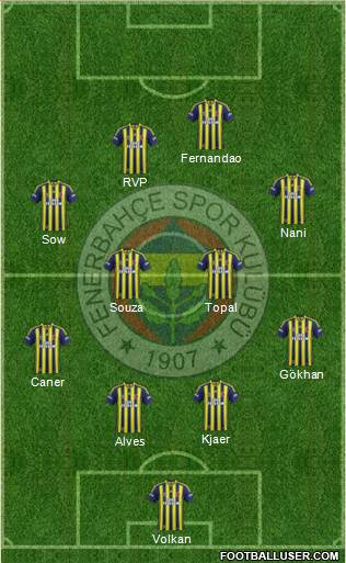 Fenerbahçe SK Formation 2015
