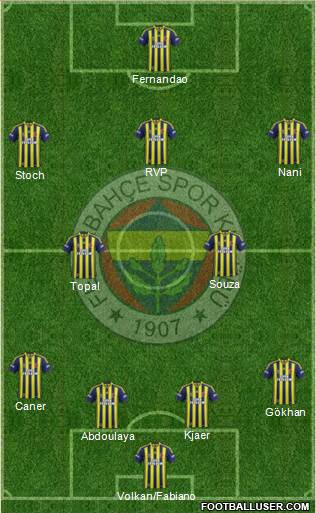 Fenerbahçe SK Formation 2015