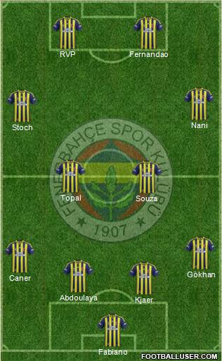 Fenerbahçe SK Formation 2015
